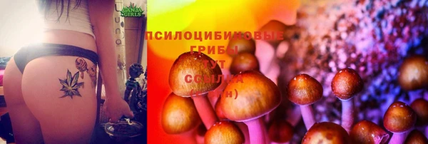 не бодяженный Мегион