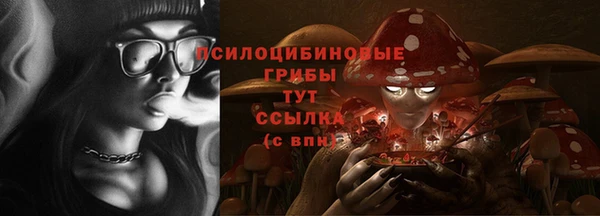 молекула духа Михайловск