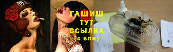 гашик Михайловка