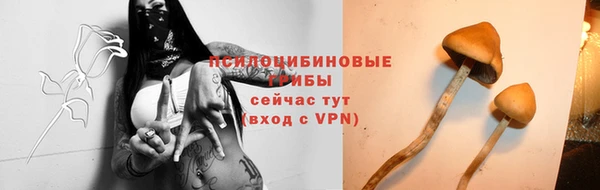 гашик Михайловка