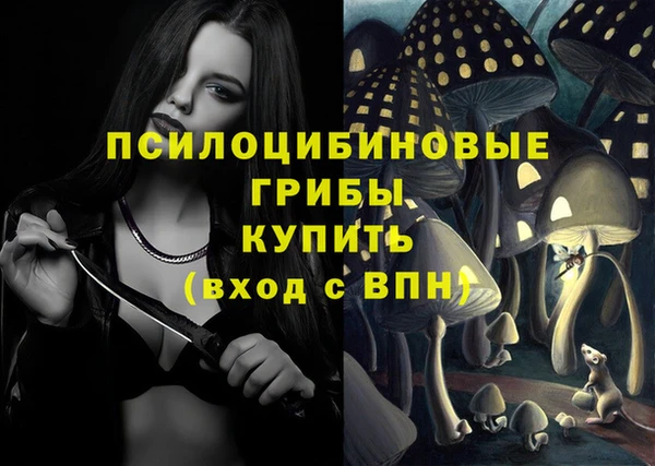 хмурый Михайлов