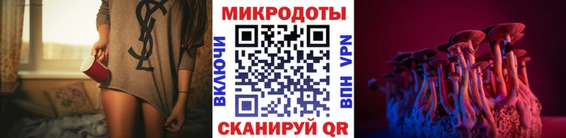 Галлюциногенные грибы GOLDEN TEACHER  блэк спрут зеркало  Иннополис 