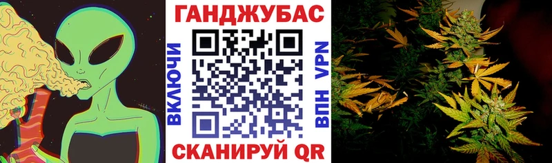 Канабис SATIVA & INDICA Иннополис